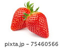 イチゴ 75460566