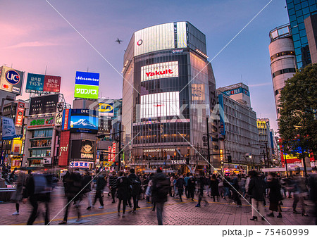 日本の東京都市景観　3.11・緊急事態宣言再延長下の渋谷スクランブル交差点と航空機。脅威の人出… 75460999