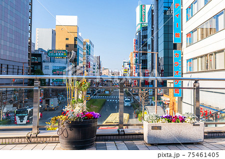 春の八王子駅北口風景 マルベリーブリッジの花壇 春の八王子駅北口風景 マルベリーブリッジの花壇 75461405