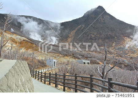 箱根・大涌谷 箱根・大涌谷 75461951