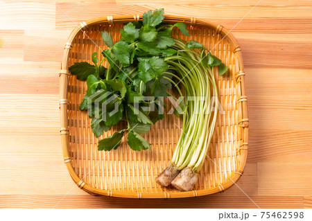 三つ葉 75462598