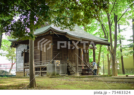 神社仏閣　田柄愛宕神社の社殿と新緑の境内　東京都練馬区 75463324