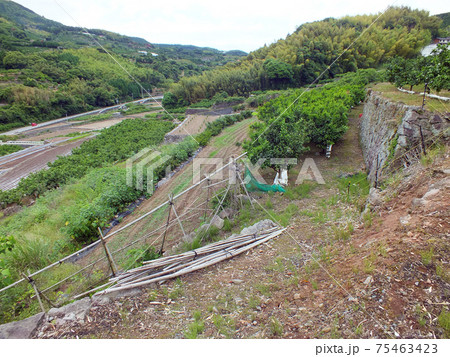 熊本・石積みの棚田や畑(金峰山麓、岩戸観音バス停周辺) 熊本・石積みの棚田や畑(金峰山麓、岩戸観音バス停周辺) 75463423