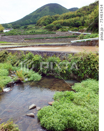 熊本・石積みの棚田や畑(金峰山麓、岩戸観音バス停周辺) 熊本・石積みの棚田や畑(金峰山麓、岩戸観音バス停周辺) 75463434