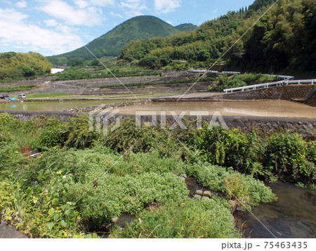 熊本・石積みの棚田や畑（金峰山麓、岩戸観音バス停周辺） 75463435
