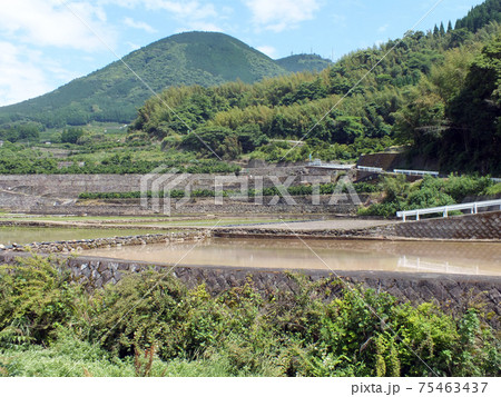 熊本・石積みの棚田や畑(金峰山麓、岩戸観音バス停周辺) 熊本・石積みの棚田や畑(金峰山麓、岩戸観音バス停周辺) 75463437