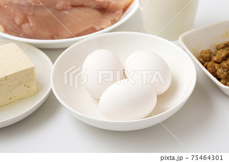 たんぱく質食材 卵 たんぱく質食材 卵 75464301