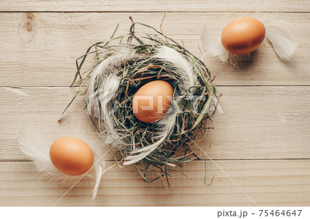 Easter natural colour eggs in basket with spring tulips, white feathers on wooden table background in Happy Easter decoration. Festive decoration in flat lay. Easter natural colour eggs in basket with spring tulips, white feathers on wooden table background in Happy Easter decoration. Festive decoration in flat lay. 75464647