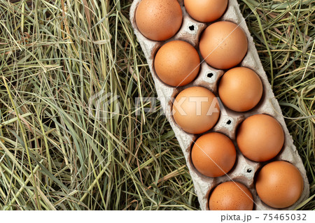 Chicken eggs in the hay. Home products. Farming concept. Chicken eggs in the hay. Home products. Farming concept. 75465032