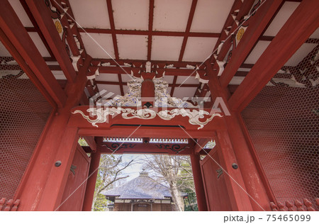 山門 仁王門 妙光院 府中市 山門 仁王門 妙光院 府中市 75465099