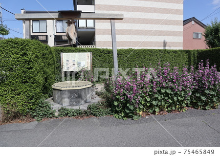 地頭井戸 75465849