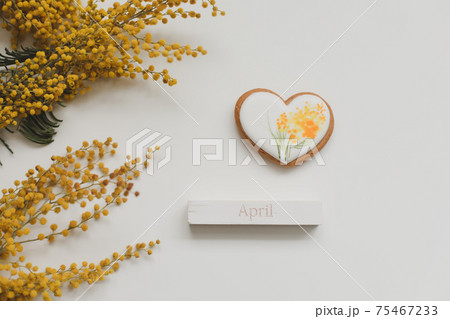 gingerbread cookie and mimosa flower on white background. Spring, springtime, April, Happy Easter concept 75467233