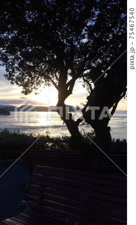 淡路島から撮ったベンチと木の向こうに見える夕方の鳴門海峡 淡路島から撮ったベンチと木の向こうに見える夕方の鳴門海峡 75467540