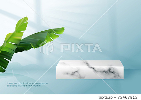 上 舞台 台座 75467815