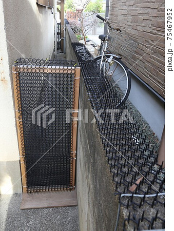 猫よけシート　ブロック塀に設置 75467952