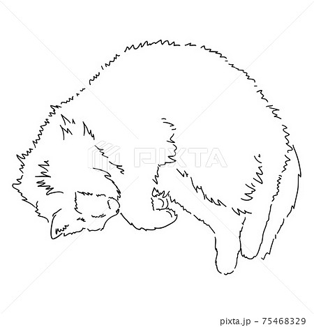 Cute Cat Lying Down Drawing Vector  Pixelbag Free Design Resources