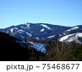 Forest in winter 75468677