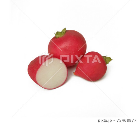 red radishes on white background 75468977