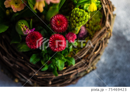 Nest interior spring composition 75469423