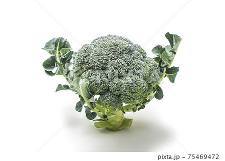 ブロッコリー 健康野菜 緑黄色野菜 採れたて新鮮野菜の写真素材