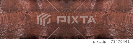 Ostrich leg leather brown isolated on a white background 75470441