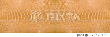 Ostrich leg leather beige isolated on a white background 75470472