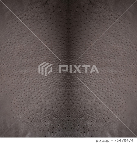 Background from a ostrich genuine leather gray 75470474