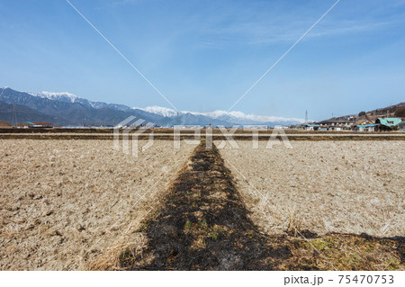 【春の風物詩】田んぼの畦焼き 【春の風物詩】田んぼの畦焼き 75470753