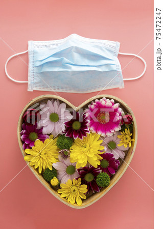Medical blue face protective mask with colorful flowers in heart shaped box. Creative concept of seasonal allergies. Medical blue face protective mask with colorful flowers in heart shaped box. Creative concept of seasonal allergies. 75472247