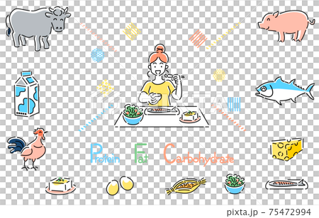 ダイエット Pfcバランス 食事をする人物 女性 イラストのイラスト素材 75472994 Pixta