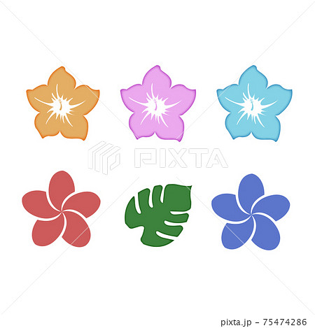 ハワイの花 ハイビスカスとプルメリア のイラスト素材