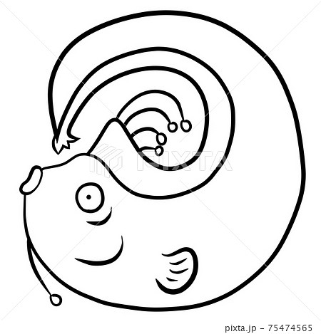 リュウグウノツカイのイラスト　線画 75474565