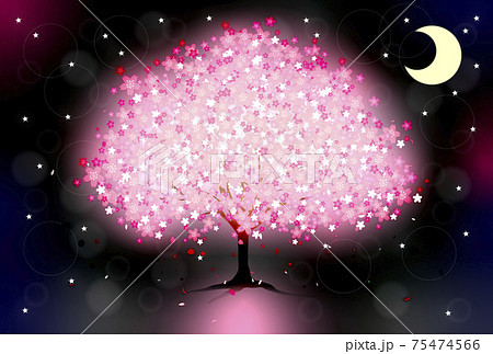 卯月夜桜様 イラストオーダー 専用ページ 3月分 卯月桜 ウヅキ サクラ