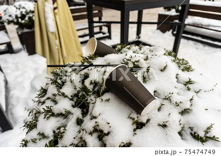Cups and straws for coffee and tea are lying on a green bush covered with snow near an outdoor cafe in winter 75474749