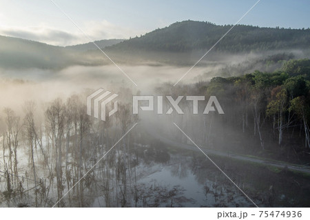 下川町サンルダム朝霧の風景 下川町サンルダム朝霧の風景 75474936