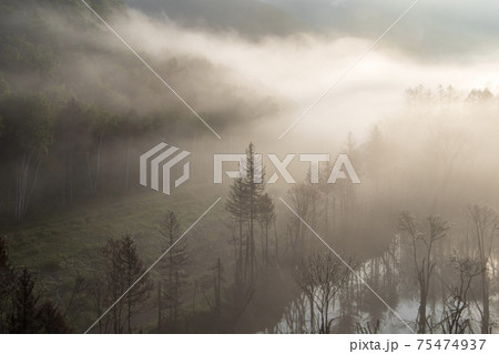 下川町サンルダム朝霧の風景 75474937