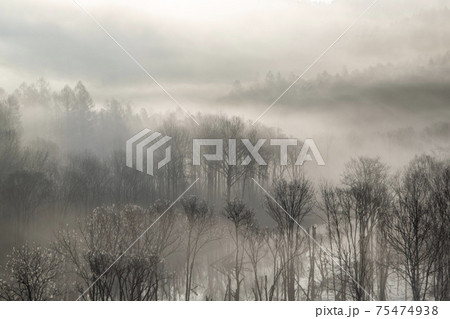 下川町サンルダム朝霧の風景 75474938