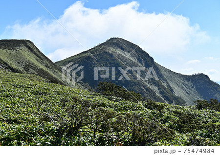 四国で最も美しい山「三嶺(みうね)」の雄姿 四国で最も美しい山「三嶺(みうね)」の雄姿 75474984