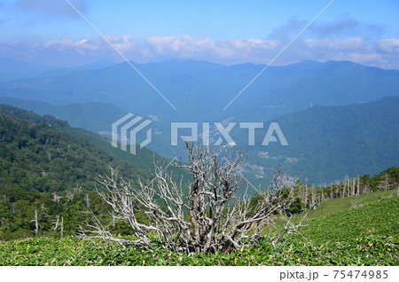 四国で最も美しい山「三嶺(みうね)」 四国で最も美しい山「三嶺(みうね)」 75474985