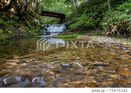 下川町サンル川の風景 下川町サンル川の風景 75475182