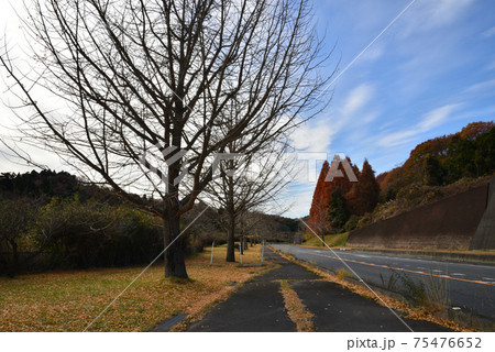 いわき市のゴルフ場入口付近の光景　　＃1 75476652