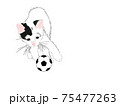 ネコとサッカーボール 75477263