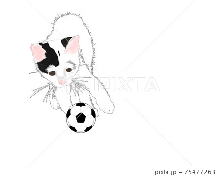 人気ブランド 猫型 石像 猫にサッカーボール 12個スポンジサッカー 