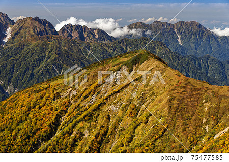 鹿島槍ヶ岳・布引山から見る紅葉の牛首山と毛勝三山 鹿島槍ヶ岳・布引山から見る紅葉の牛首山と毛勝三山 75477585
