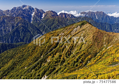 鹿島槍ヶ岳・布引山から見る紅葉の牛首山と剣岳・毛勝三山 鹿島槍ヶ岳・布引山から見る紅葉の牛首山と剣岳・毛勝三山 75477586