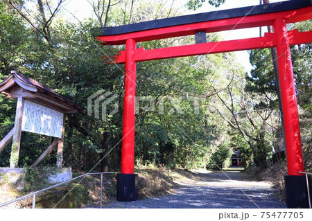 肝付町　川上神社の鳥居 75477705