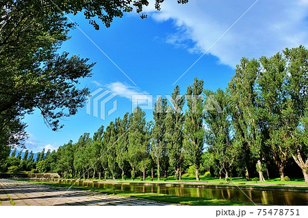 前田森林公園 75478751