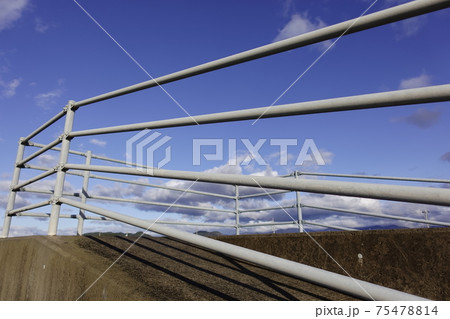 津波避難 75478814