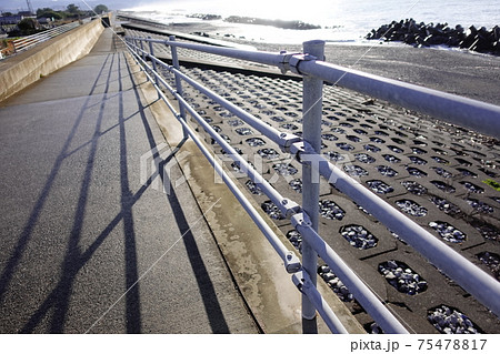 津波避難 75478817