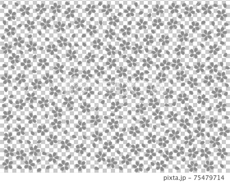 Japanese pattern_Kozakura pattern_Monochrome Japanese pattern_Kozakura pattern_Monochrome 75479714